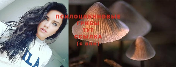 альфа пвп Богданович
